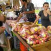 Frutas de la Zona